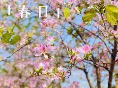 -广州国际生物岛