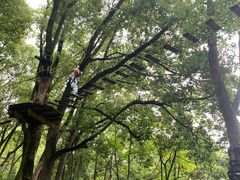 -WeLope紫金山探险公园