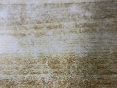 -胖子老牌优质水煎包