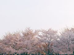 -龙美术馆(西岸馆)