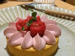 -猫里有甜