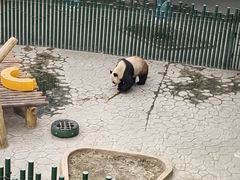 -沈阳森林动物园