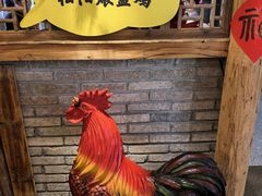 -头上红煨盐鸡乡村食府