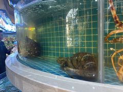 -大众海鲜(巨龙北路店)