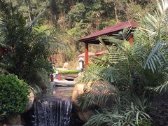 -汇雅温泉