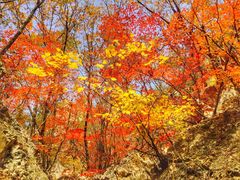 -大连天门山国家森林公园