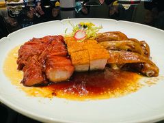 -新雅粤菜馆(南京东路店)