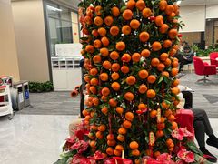 -中信银行(中天购物城店)