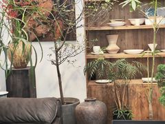 -自由生长植物工作室(深港花卉中心店)