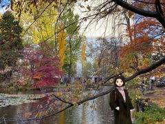 -北海道厅旧本厅舍(旧本庁舎)