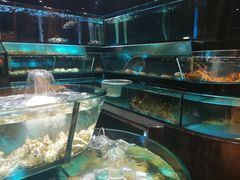-金翠皇宫粤菜·点心·海鲜(科技园店)