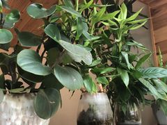 -阿鹏故事云南野生菌火锅(人民路店)