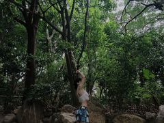 -湖泉半山温泉