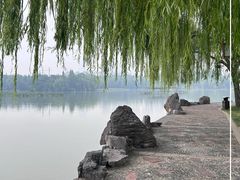 -洛阳市隋唐城遗址植物园