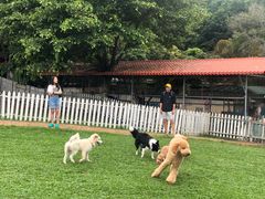 -良成狗狗乐园