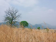 环境-照金红色旅游名镇