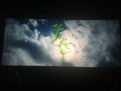 -星美国际影商城(虹口店)