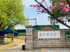 -嘉定紫藤园