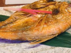 烤稠鱼-小菊日本料理