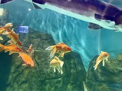 -大明湖海底世界