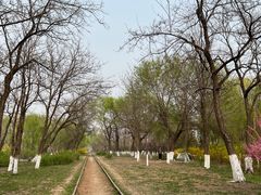 -永定河休闲森林公园