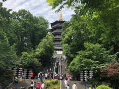 -西湖外事游船(花港观鱼码头)