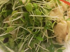 鲜桃仁豌豆苗-玉华台饭庄(裕中西里小区店)