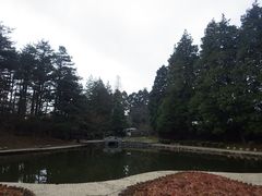 -庐山风景区花径公园