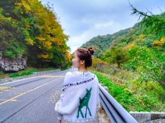 -秦岭风景区