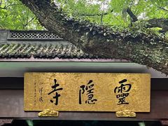 -庆春朴门