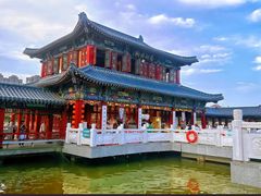 -雁滩公园
