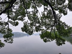 -西湖外事游船(花港观鱼码头)