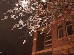 -辽宁大学(崇山校区)