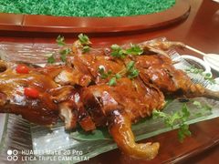 -瑶王府·广西菜(金阳路店)