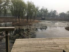 -东郊湿地公园