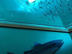 -西雅图水族馆