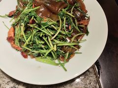 香菜牛肉炒河粉-南京大牌档(三阳广场苏宁店)