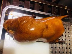-阿庄新豫菜(通泰路店)