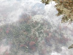 -成飞公园
