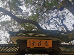 -灵隐飞来峰景区