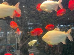 -弘安丽水温泉酒店