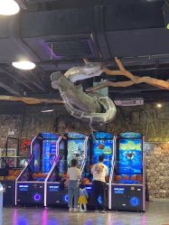 -卡通尼·Safari非洲探索乐园·生日会(金桥国际商业广场店)