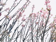 -观澜湖生态运动公社