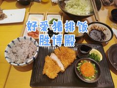 辣萝卜泥里脊饭-胜博殿日式炸猪排(西红门店)