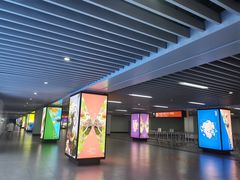 -东方体育中心(地铁站)