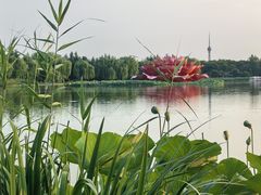 -洛阳市隋唐城遗址植物园