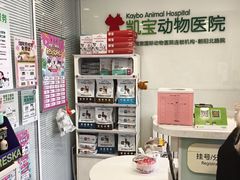 -悦宠凯宝动物医院·牙科·皮肤科(朝阳北路店)