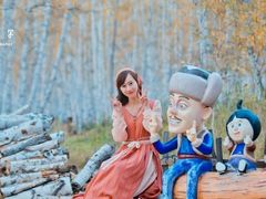 -乌兰布统景区-白桦林