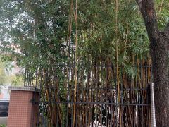 -沃尔玛(前山店)