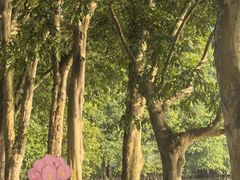 -华南国家植物园-售票处